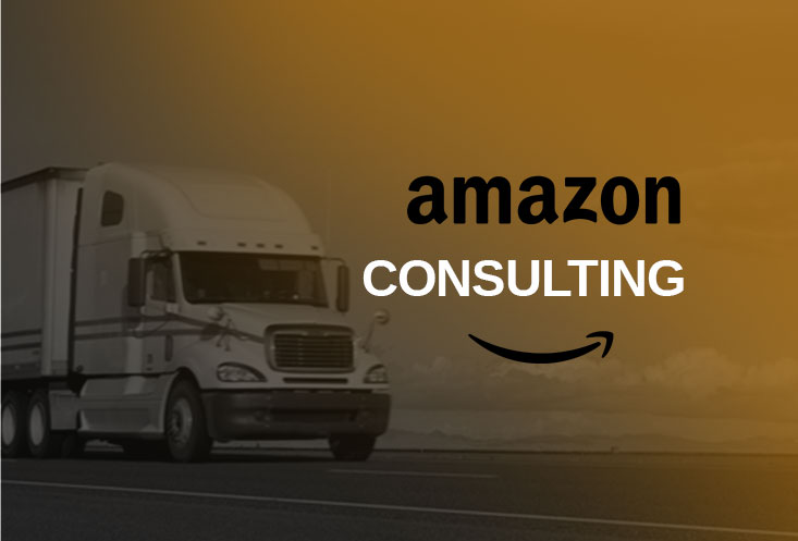 Read more about the article Amazon Optimization Consultant